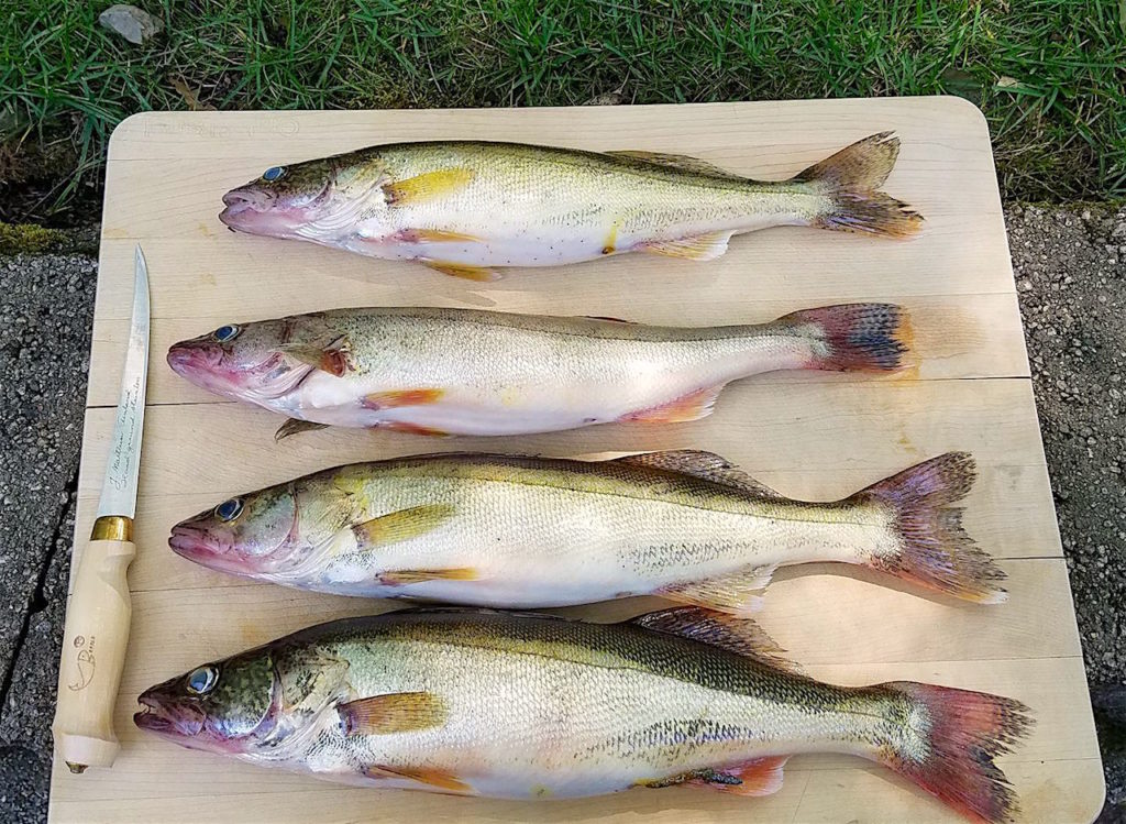 The_Green_Way_Outdoors_Walleye_Recipe